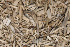 biomass boilers Drakelow